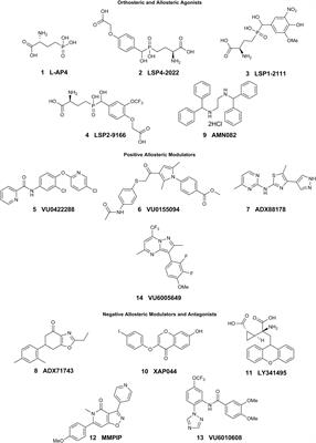 Metabotropic Glutamate Receptor 7: A New Therapeutic Target in Neurodevelopmental Disorders